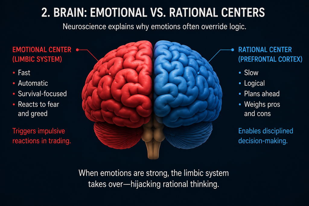 Neuroscience behind why emotions control your trades